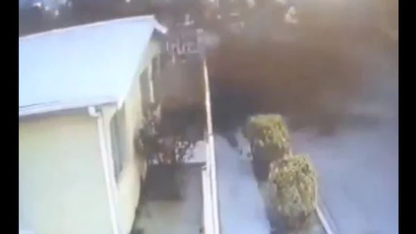 उत्तरी मैक्सिकों का है वीडियो