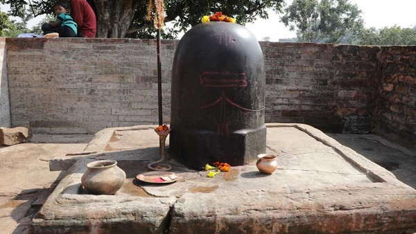 गोबराहीन विशालकाय शिवलिंग के हो जायेंगे दर्शन गोबराहीन विशालकाय शिवलिंग के हो जायेंगे दर्शन