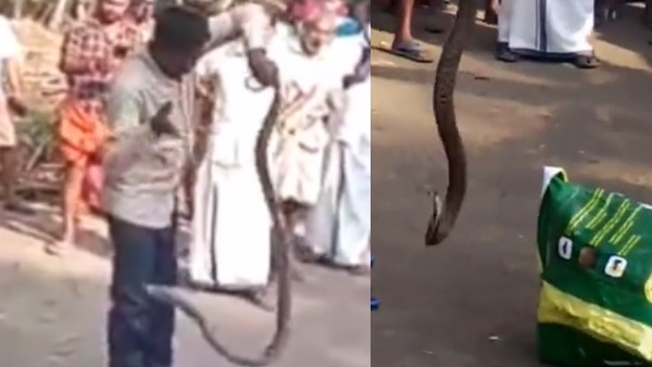 विचलित कर सकता है वीडियो