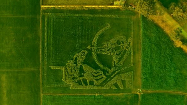 सोनीपत के किसान ने खेत में 'श्रीकृष्ण-अर्जुन' दिखाए सोनीपत के किसान ने खेत में 'श्रीकृष्ण-अर्जुन' दिखाए