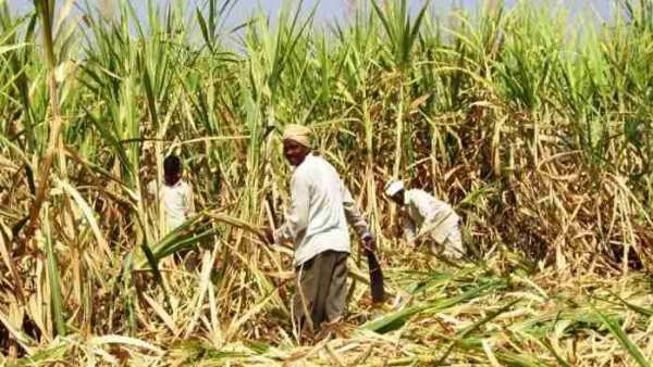 पीएम किसान केवाईसी की आखिरी तारीख 