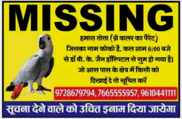 इश्तिहार में सूचना देने वाले को ईनाम की घोषणा