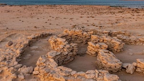 बिल्डिंग के पास मिले दफ्न शव