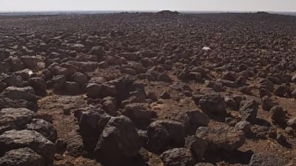 टीम में कौन कौन? टीम में कौन कौन?