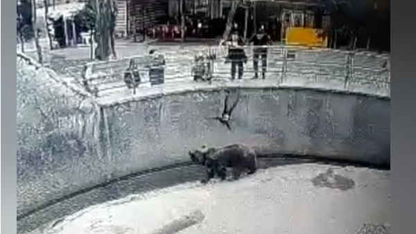 वीडियो सोशल मीडिया पर जमकर वायरल हो रहा वीडियो सोशल मीडिया पर जमकर वायरल हो रहा