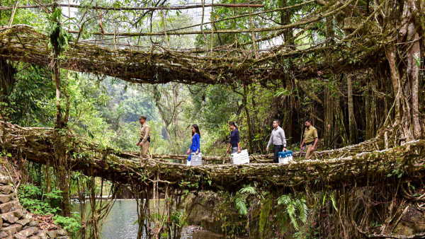 कुदरत की इंजीनियरिंग का नायाब नमूना कुदरत की इंजीनियरिंग का नायाब नमूना