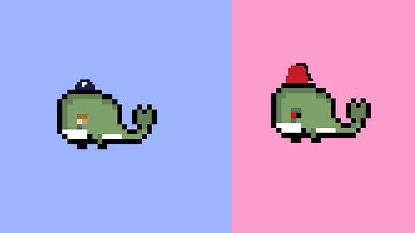 एनएफटी के बारे में देना चाहते हैं ट्रेनिंग