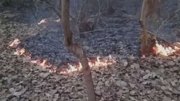 ग्रामीण भी लगा सकते हैं आग 