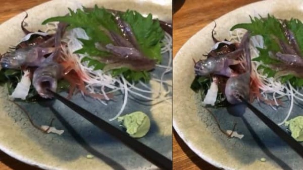 खाने की प्लेट में मिली जिंदा मछली खाने की प्लेट में मिली जिंदा मछली