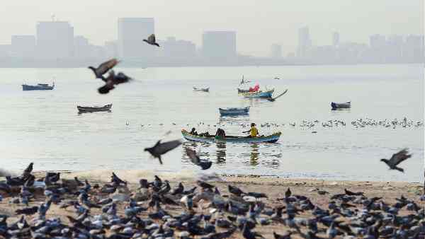 भारत के लिए परिस्थितियां असहनीय हो जाएंगी-रिपोर्ट भारत के लिए परिस्थितियां असहनीय हो जाएंगी-रिपोर्ट