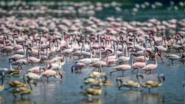 देश के किन तटीय शहरों को है खतरा ? देश के किन तटीय शहरों को है खतरा ?