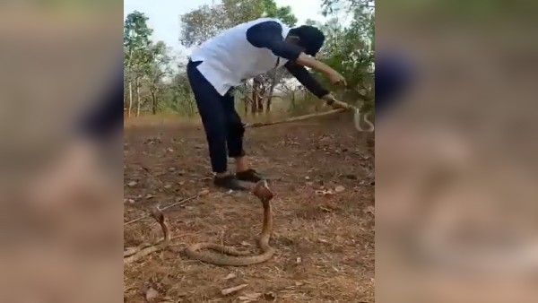 स्टंटबाजी करना शख्स को पड़ा भारी 