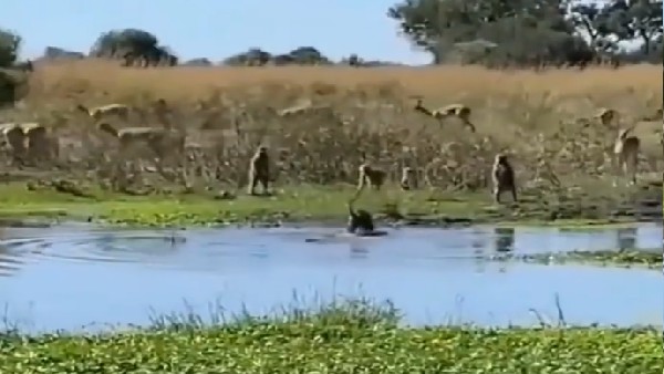 जानिए इस जंग में फिर क्या हुआ?