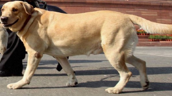 टॉम के जाने के बाद परिवार को लगा था सदमा टॉम के जाने के बाद परिवार को लगा था सदमा