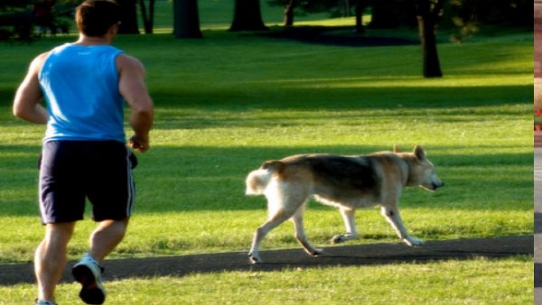 11 साल पहले मुथु की टॉम से हुई थी दोस्ती 11 साल पहले मुथु की टॉम से हुई थी दोस्ती