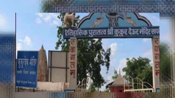 होता है रोगों से बचाव होता है रोगों से बचाव