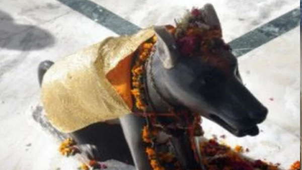 नंदी की तरह होती है कुकरदेव की पूजा नंदी की तरह होती है कुकरदेव की पूजा