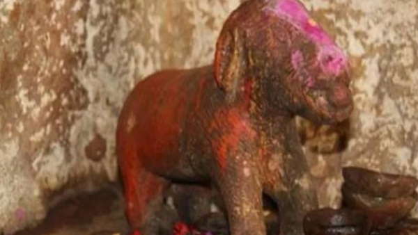 स्वामी भक्त कुत्ते की याद में बनवाया स्मारक स्वामी भक्त कुत्ते की याद में बनवाया स्मारक