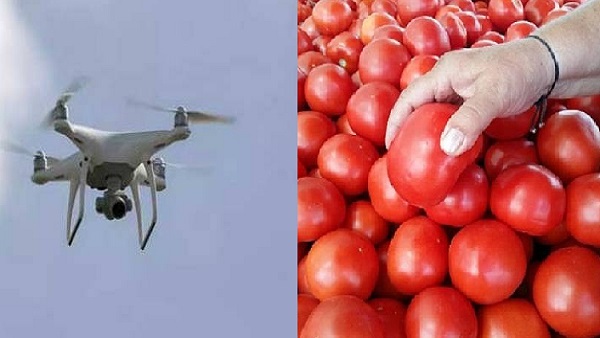रूसी ड्रोन समझ टमाटरों से किया हमला