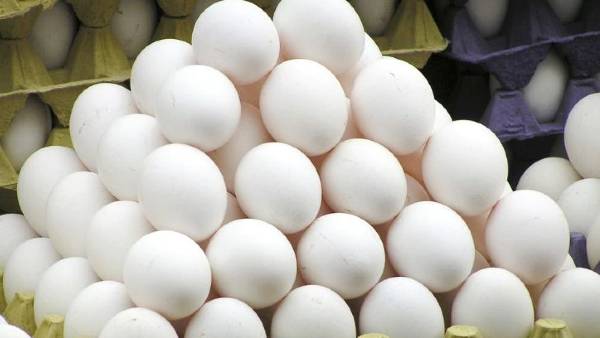 पोल्ट्री कारोबारियों को हो रही परेशानी