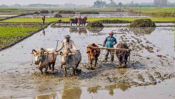 73 में से 68 किसान संगठन कृषि कानूनों के विरोध में नहीं थे 