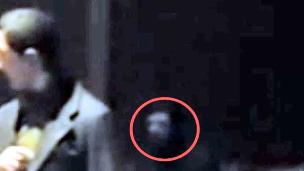 ऐसे दिखते हैं डरावने भूत! 