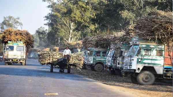 जाट लैंड को लेकर किए गए थे तरह-तरह के दावे