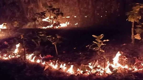 ग्रामीण भी लगा सकते हैं आग 
