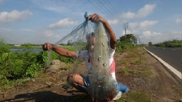 एक मछली ने बदली किस्मत
