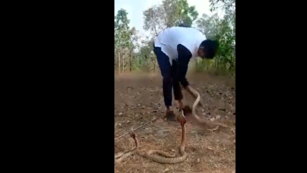 पैर पर मारा डंक