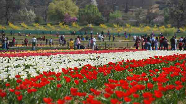 आर्टिकल-370 हटने के बाद 34 लोगों ने जम्मू-कश्मीर में खरीदी प्रॉपर्टी