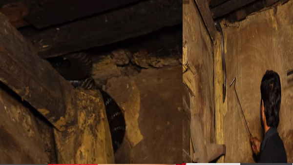 किंग कोबरा के आगे बिना किसी सेफ्टी के खड़ा नजर आया ये शख्स किंग कोबरा के आगे बिना किसी सेफ्टी के खड़ा नजर आया ये शख्स