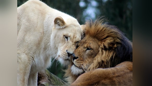 कैदी की तरह बिता रहा जिंदगी