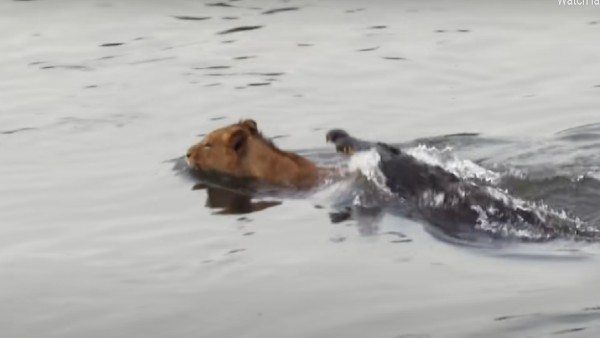 पानी के बीच में किया हमला