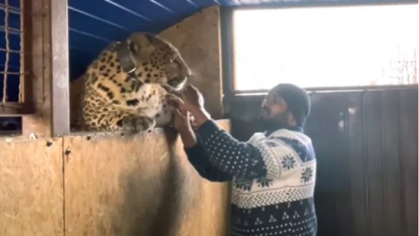  ‘Jaguar Kumar Telugu' नाम से यूट्यूब चैनल चलाते हैं पाटिल