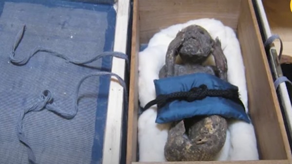 800 साल तक जिंदा रही महिला 800 साल तक जिंदा रही महिला