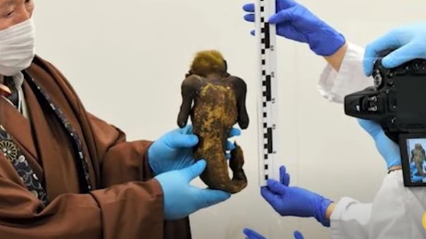 मालिक ने कही थी ये बात मालिक ने कही थी ये बात