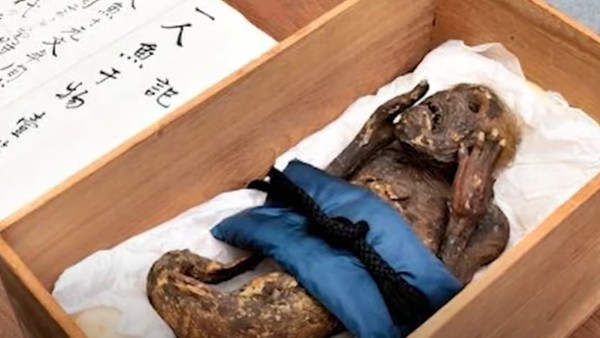 डीएनए टेस्ट से पता चलेगी सच्चाई डीएनए टेस्ट से पता चलेगी सच्चाई