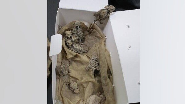  बैठने का तरीखा था अजीब