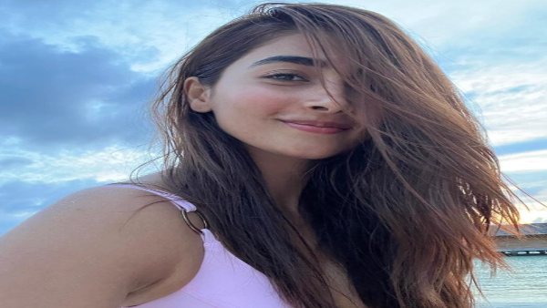 पूजा हेगड़े की फिल्म ने शुरुआत में तेजी से की थी कमाई पूजा हेगड़े की फिल्म ने शुरुआत में तेजी से की थी कमाई