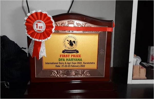 NDBB ने उन्नत नस्ल का दर्जा दिया