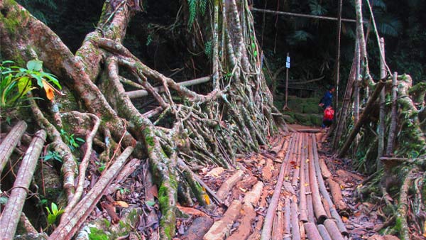 यूनेस्को की लिस्ट में हुए शामिल यूनेस्को की लिस्ट में हुए शामिल