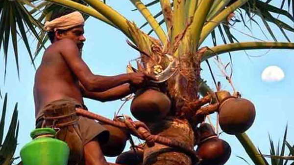 बस्तर बियर है कमाल की 