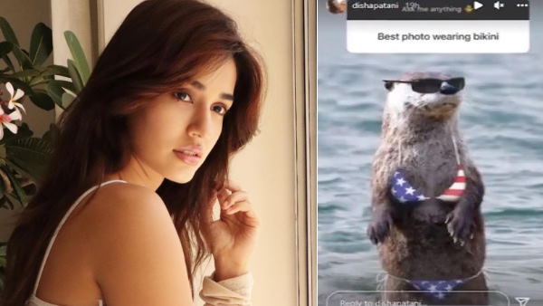 फैंस को पसंद आया दिशा का सेंस ऑफ ह्यूमर