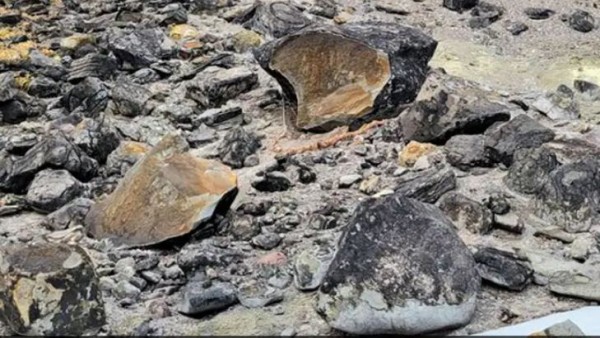 स्थानीय लोगों में डर का माहौल