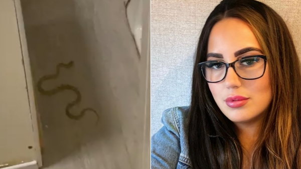 'लाइट जलाई, तो ऐहसास हुआ कि वो वाकई सांप है'