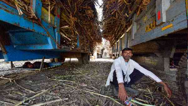 गन्ना बेल्ट ने दिया बीजेपी को बड़ा झटका