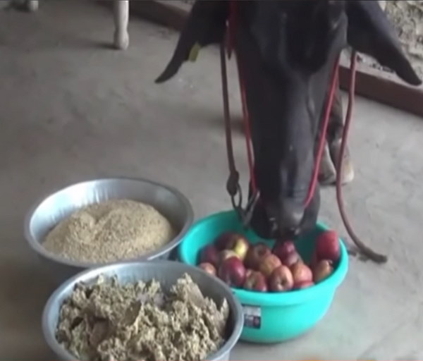 21 करोड़ की बोली लगी, लेकिन नहीं बेचा