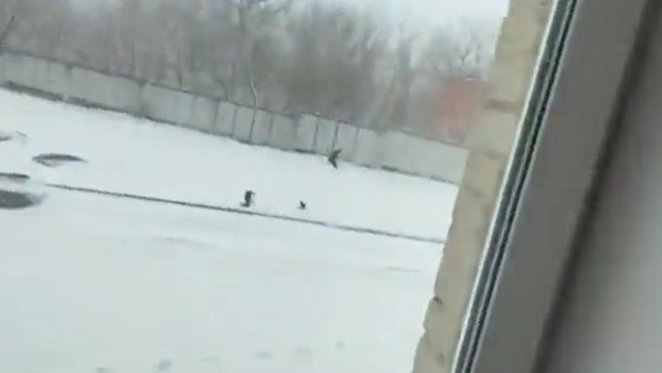 शून्य से नीचे तापमान में छात्र ने बनाया वीडियो