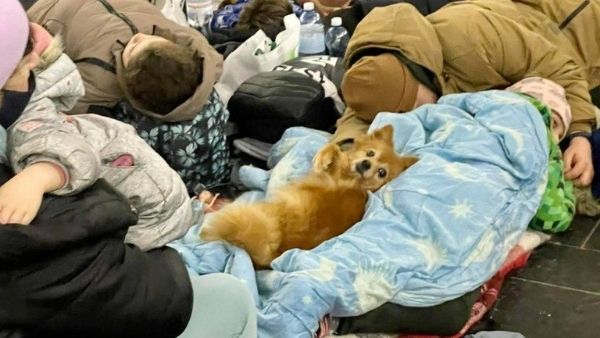 अपनों से मिलकर भावुक होती आंखे अपनों से मिलकर भावुक होती आंखे